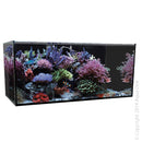REEFSYS 326 MARINE TANK 120X55X80CM