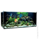 AQUASYS 315L FRESHWATER TANK 120X55X53CM *SPECIAL ORDER*