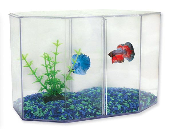 AQUA ONE BETTA DUO TANK PLASTIC