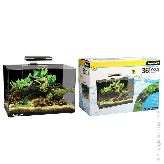 AQUA ONE FOCUS 36 AQUARIUM 50X25X34CM BLACK