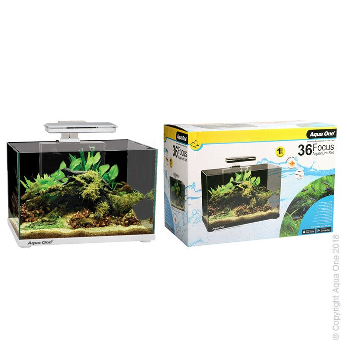 AQUA ONE FOCUS 36 AQUARIUM 50X25X34CM WHITE