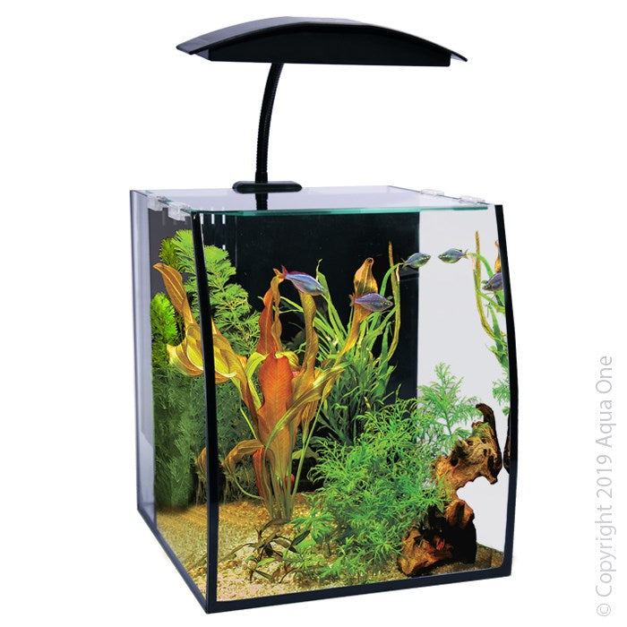 AQUA ONE ARC 16 AQUARIUM 25X28X30CM BLACK