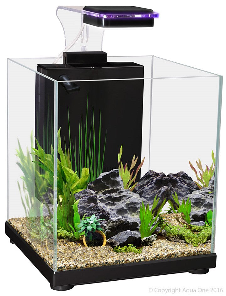 AQUA ONE BETTA SANCTUARY AQUARIUM 10L BLACK