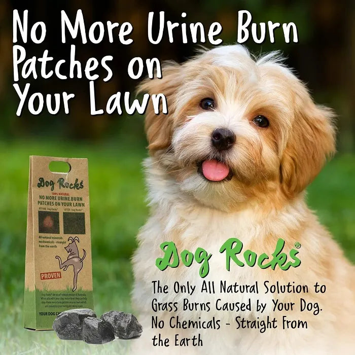 DOG ROCKS 600G PACK