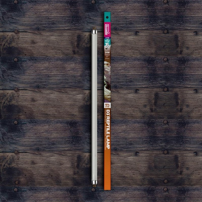 ARCADIA 560MM D3 DESERT 12% UVB T5 24W