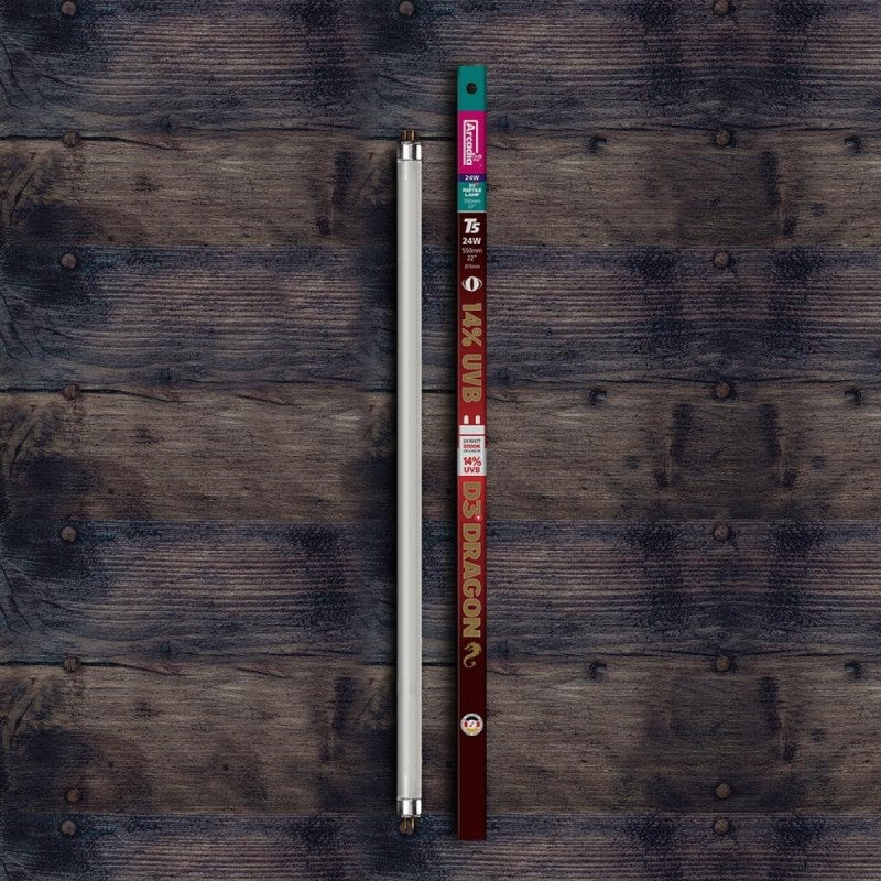 ARCADIA 560MM D3 DESERT 14% UVB T5 24W