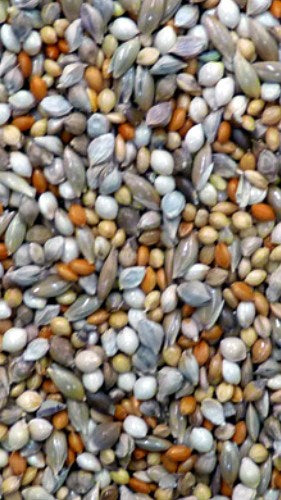 AVIGRAIN FINCH BLUE 20KG