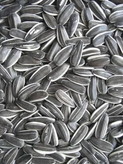 AVIGRAIN GREY STRIPE SUNFLOWER SEED 2KG