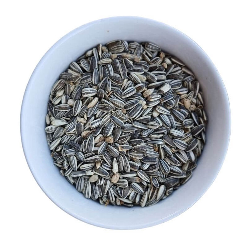 AVIGRAIN GREY STRIPE SUNFLOWER SEED 2KG
