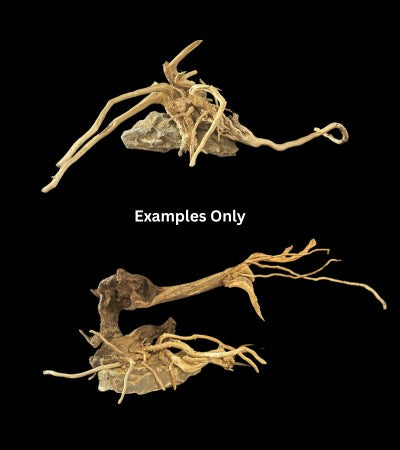 DYMAX SCAPE CREATION SMALL