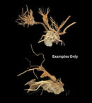 DYMAX SCAPE CREATION MEDIUM