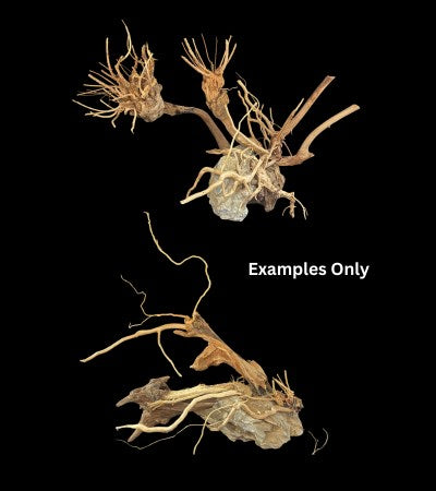 DYMAX SCAPE CREATION MEDIUM