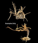 DYMAX SCAPE CREATION LARGE