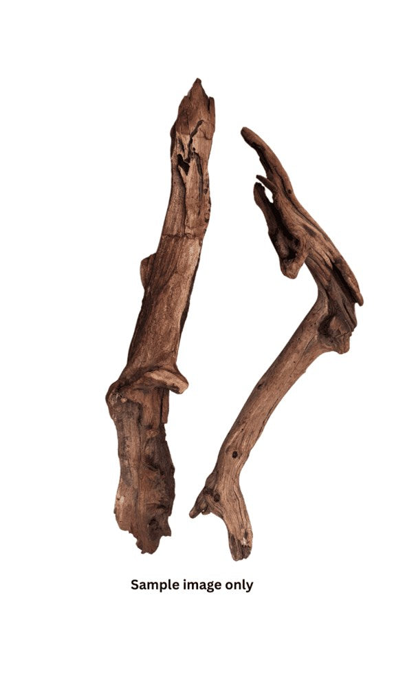 DYMAX REPTILE LOG SMALL