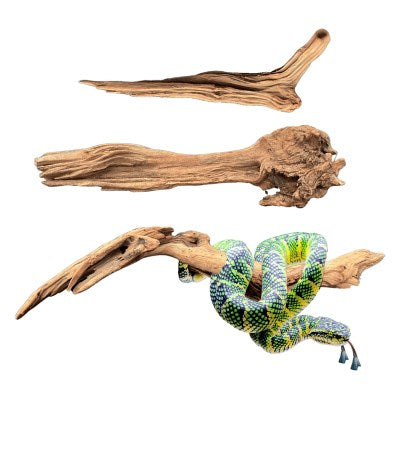 DYMAX REPTILE LOG MEDIUM