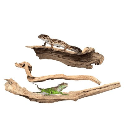 DYMAX REPTILE LOG LARGE