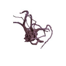 DYMAX TWEETY WOOD SMALL