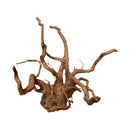 DYMAX TWEETY WOOD MEDIUM