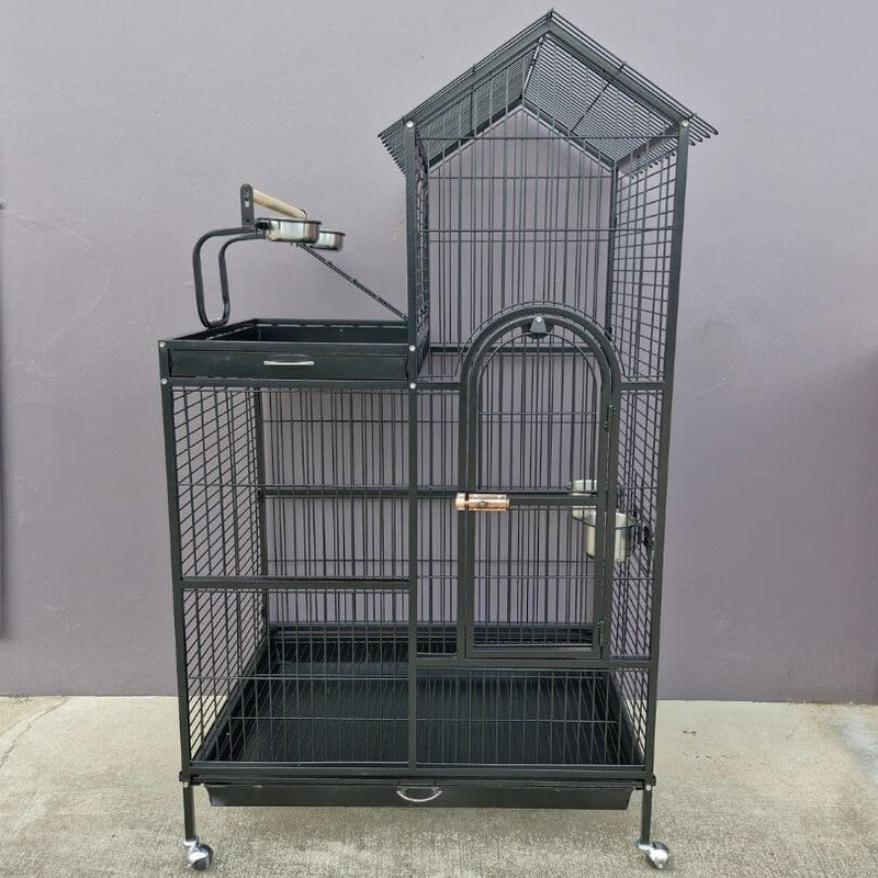 BONO FIDO TASSIE 36 CAGE