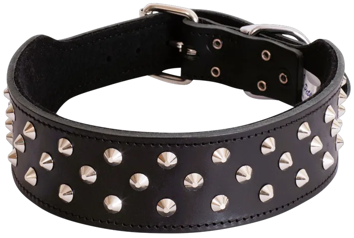 BEAU PET STAFFY COLLAR 50CM BLACK