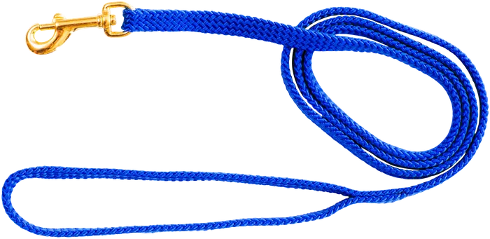 BEAU PET NYLON PUPPY LEAD BLUE 10MM