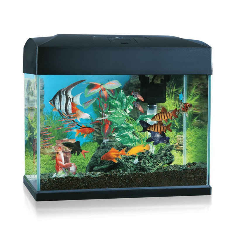 BLUE PLANET CLASSIC 20L