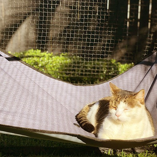 THE CAT CABANA ENCLOSURE - HAMMOCK