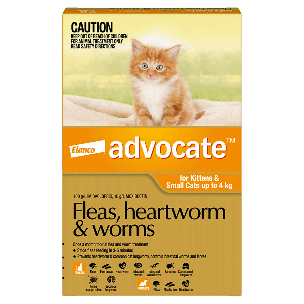 ADVOCATE SMALL CAT 0-4KG 6PK