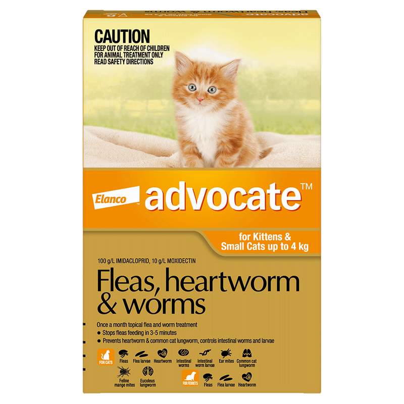 ADVOCATE SMALL CAT 0-4KG 6PK