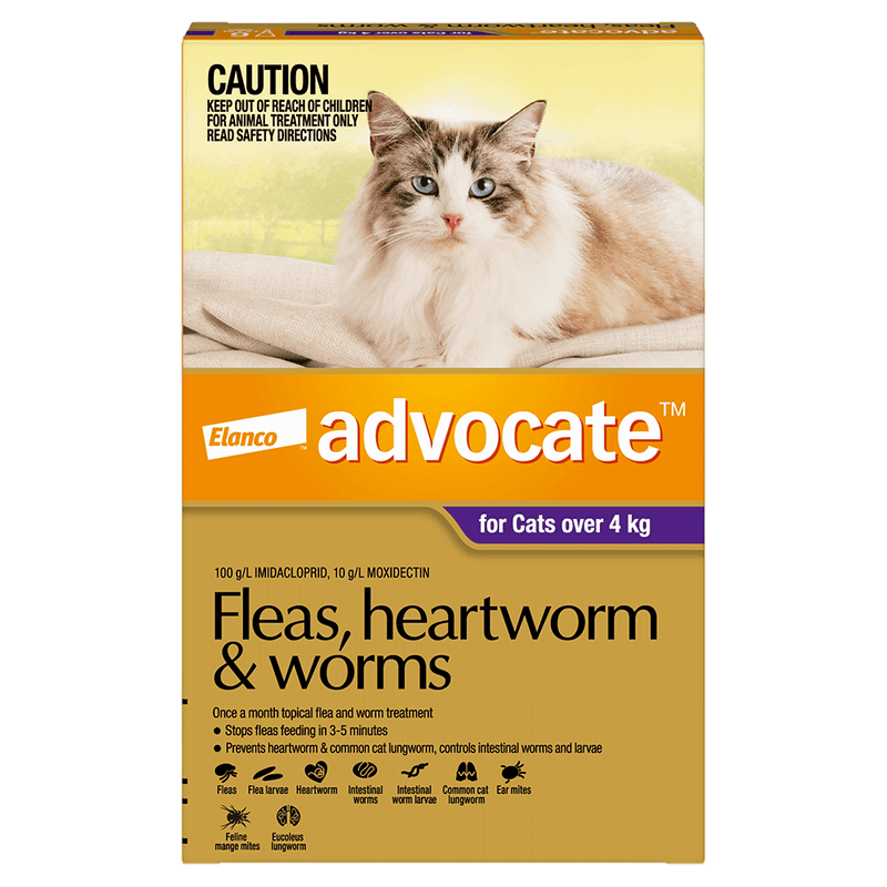 ADVOCATE LARGE CAT 4-8KG 6PK