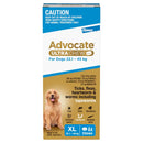 ADVOCATE ULTRA CHEW DOG 22-45KG BLUE 6PACK