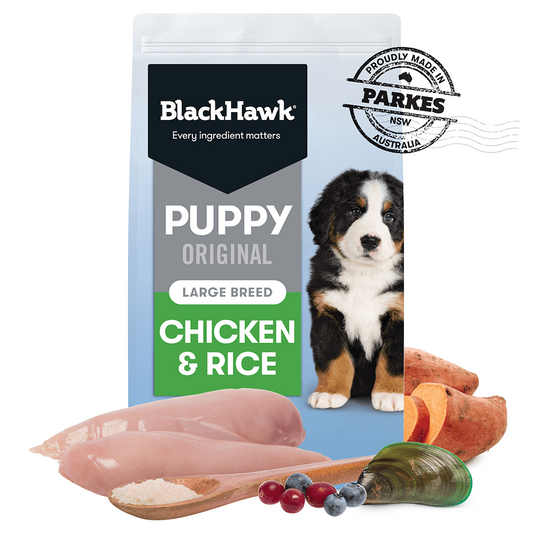 BLACK HAWK PUPPY LARGE BREED CHICKEN 20KG