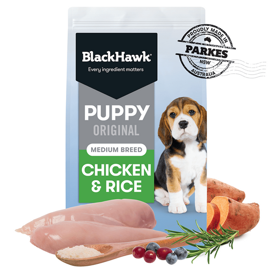 BLACK HAWK PUPPY MEDIUM BREED CHICKEN 20KG