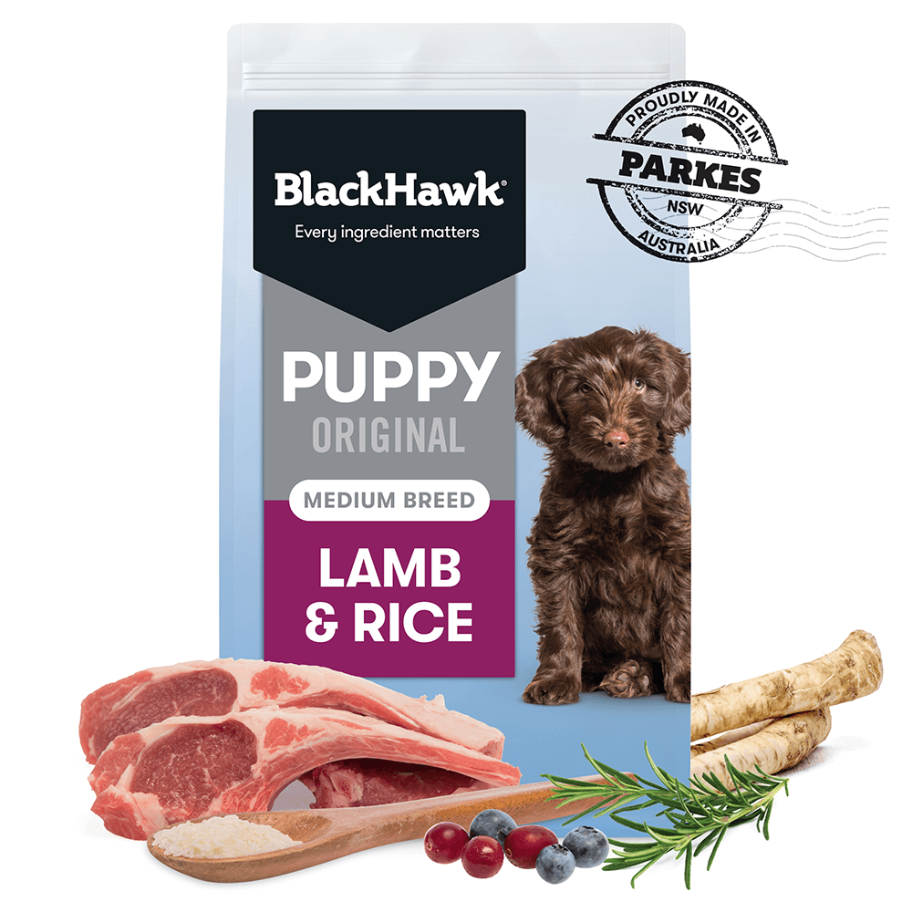 BLACK HAWK PUPPY MEDIUM BREED LAMB 20KG