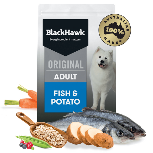 BLACK HAWK ADULT FISH & POTATO 10KG