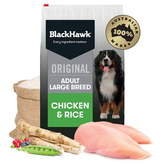 BLACK HAWK ADULT LARGE BREED CHICKEN 20KG