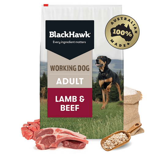 BLACK HAWK ADULT WORKING DOG 20KG