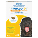 INTERCEPTOR SPECTRUM 11-22KG 6PK