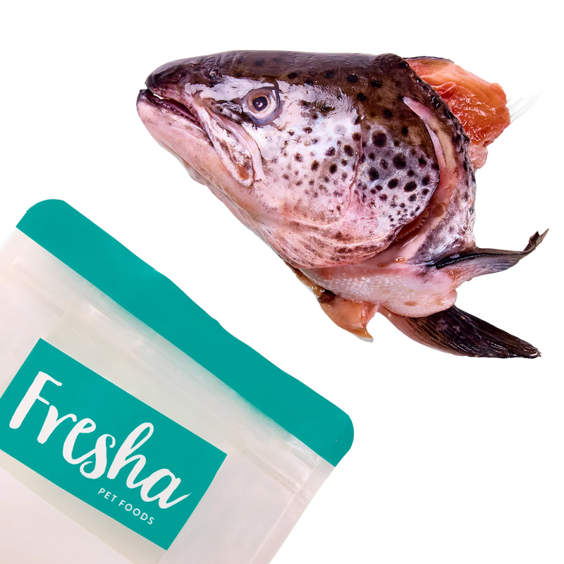 FRESHA SALMON HEADS 2PK