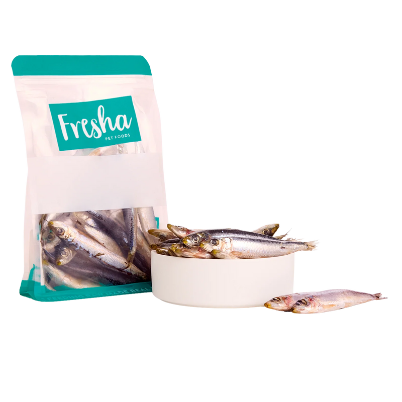 FRESHA WILD CAUGHT SARDINES 500G