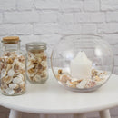 GLASS FISH BOWL 18CM 4.5L