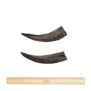 BARK & BEYOND GOAT HORN SMALL 10-15CM