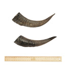 BARK & BEYOND GOAT HORNS MED 20-25CM