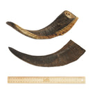 BARK & BEYOND GOAT HORNS LGE 27-32CM