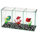 AQUA ONE BETTA TRIO CUBE GLASS