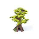 BONSAI PLANT SMALL 140W X 190H X 140D MM