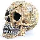 SKULL LARGE 140W X 145H X 200D MM
