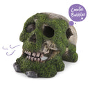 SKULL W/MOSS & AIR - SMALL SMALL 120W X 80H X 90D MM