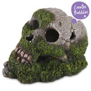 SKULL W/MOSS & AIR -MEDIUM MEDIUM 174W X 117H X 120D MM