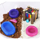 KRABOOZ CHA CHA COMPLETE KIT